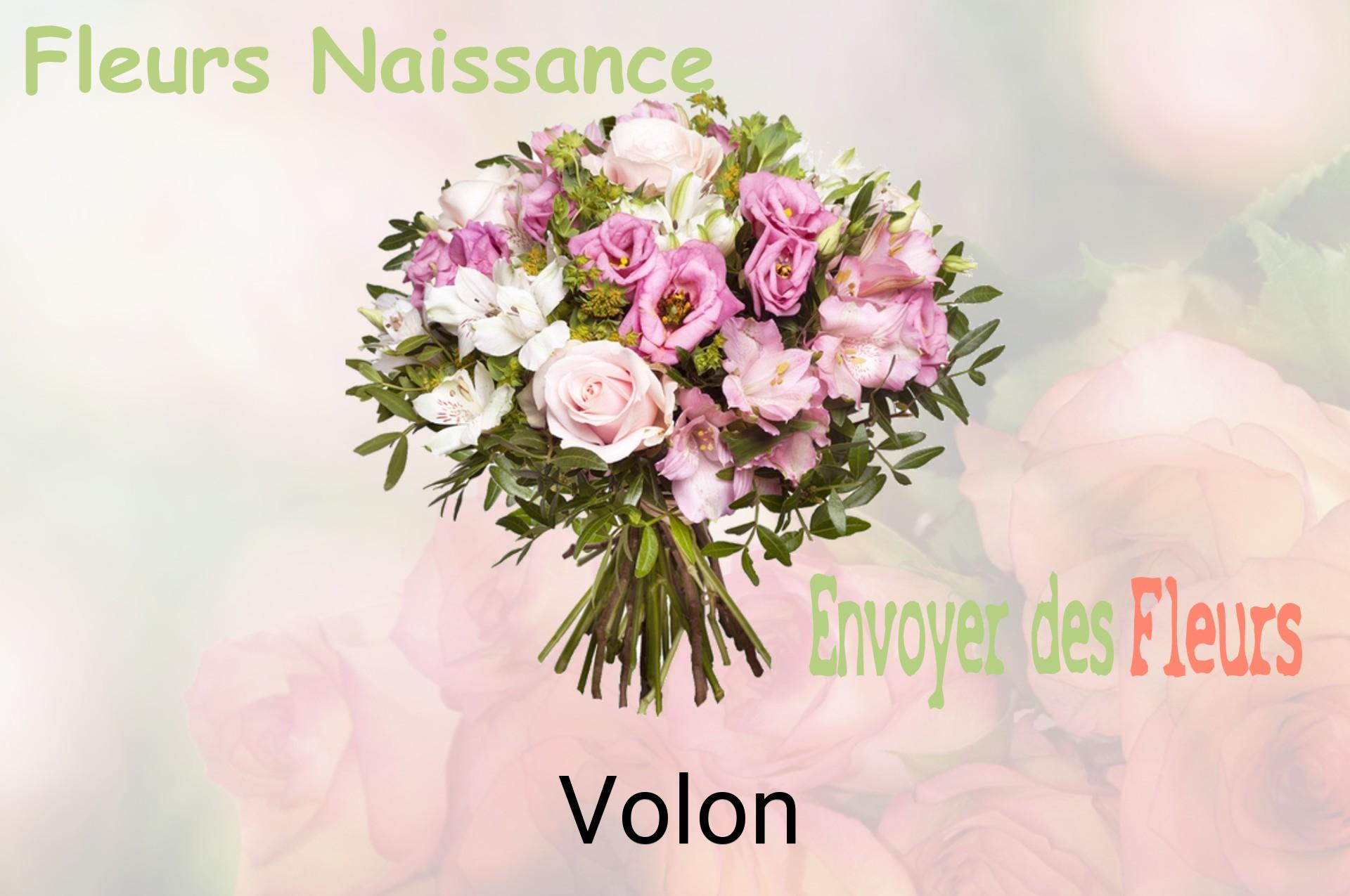 Bouquet de fleurs de naissance livré à Volon